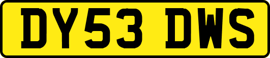 DY53DWS