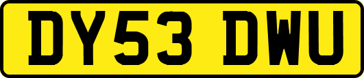 DY53DWU