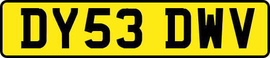 DY53DWV