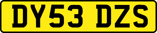 DY53DZS