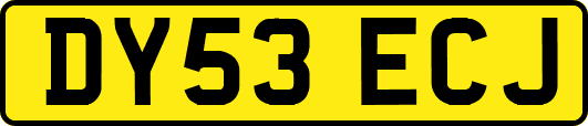 DY53ECJ