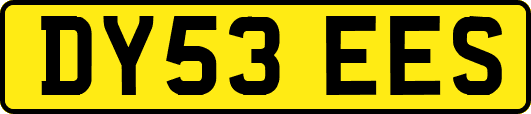 DY53EES