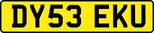 DY53EKU