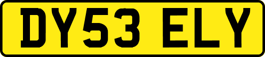 DY53ELY