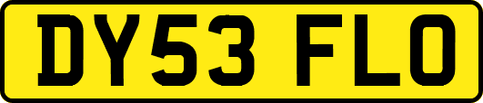 DY53FLO