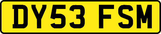 DY53FSM