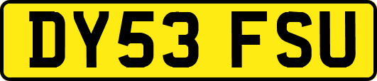 DY53FSU