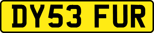 DY53FUR