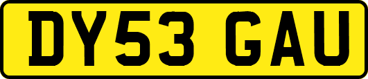 DY53GAU