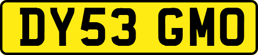 DY53GMO