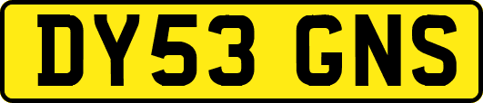 DY53GNS