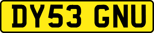 DY53GNU