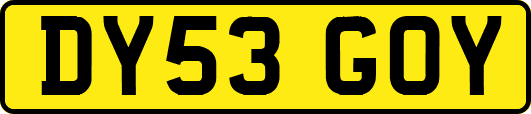 DY53GOY