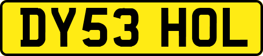 DY53HOL