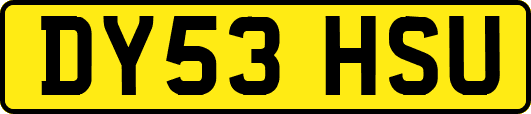 DY53HSU