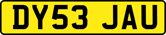 DY53JAU