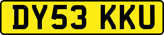 DY53KKU