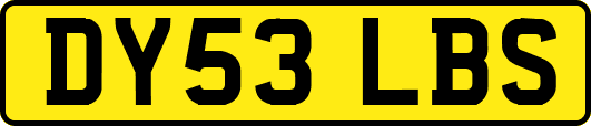 DY53LBS