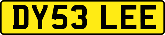 DY53LEE