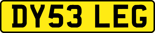 DY53LEG