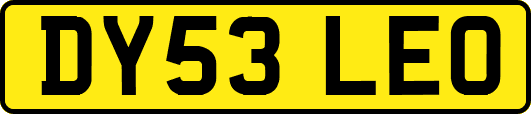 DY53LEO
