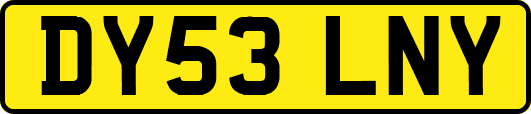 DY53LNY