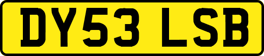DY53LSB