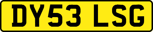 DY53LSG