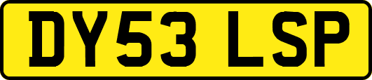 DY53LSP
