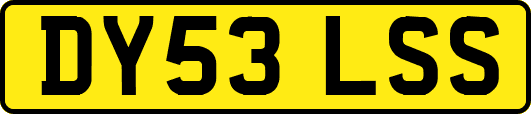 DY53LSS
