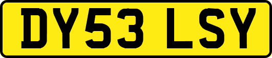 DY53LSY