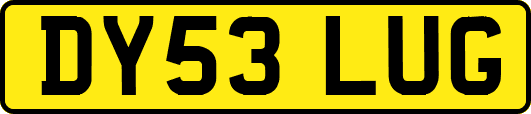 DY53LUG