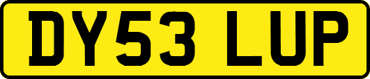DY53LUP