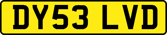 DY53LVD