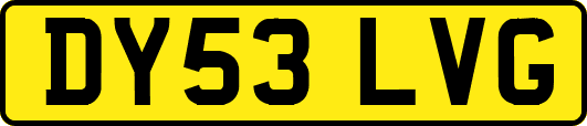 DY53LVG