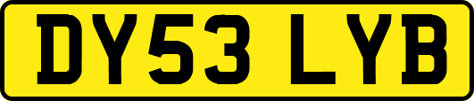 DY53LYB