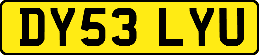 DY53LYU
