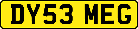 DY53MEG