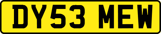 DY53MEW