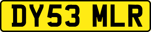 DY53MLR