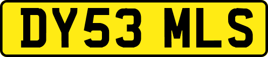DY53MLS