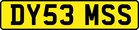 DY53MSS