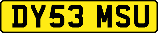 DY53MSU