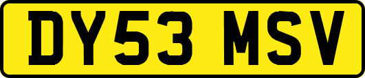 DY53MSV