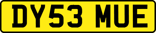 DY53MUE