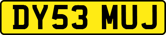 DY53MUJ