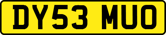 DY53MUO
