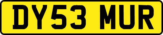 DY53MUR