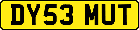 DY53MUT