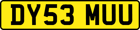 DY53MUU